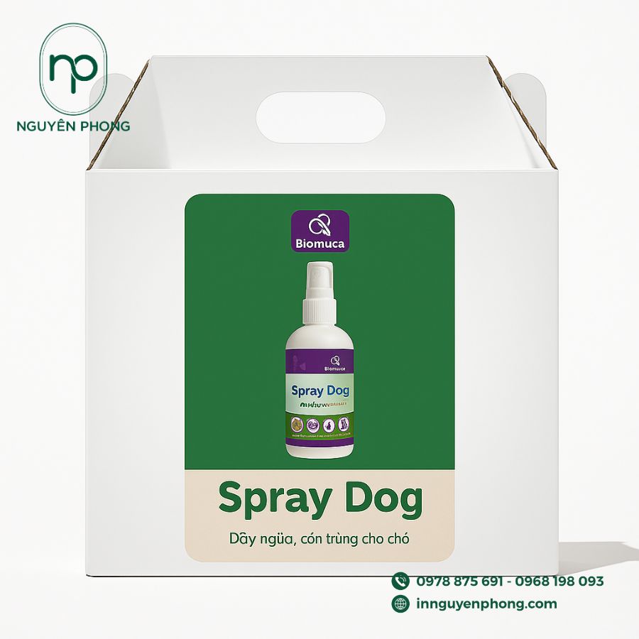 Hộp Giấy Đựng Xịt Côn Trùng